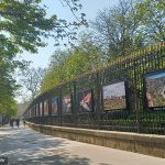 expo-photo-gratuite-grilles-jardin-luxembourg-paris