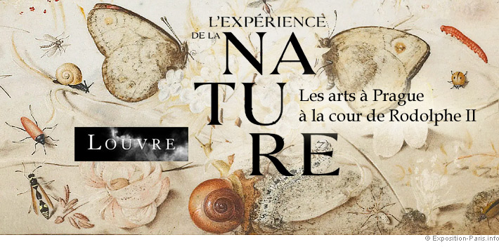 expo-experience-de-la-nature-musee-du-louvre-paris