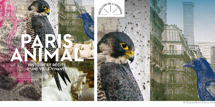 expo-gratuite-paris-animal-histoire-et-recits-d-une-ville-vivante-pavillon-de-l-arsenal