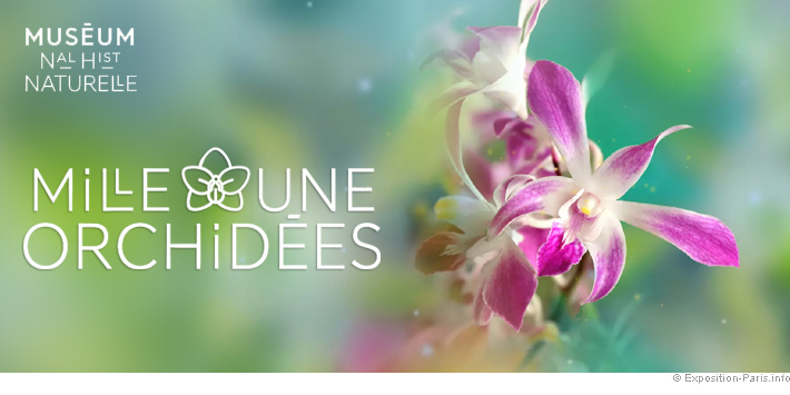 expo-paris-mille-et-une-orchidees-grandes-serres-du-jardin-des-plantes expo-paris-mille-et-une-orchidees-grandes-serres-du-jardin-des-plantes