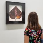 expo-peinture-abstraite-paris-georgia-o-keeffe