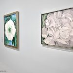 expo-peinture-georgia-o-keeffe-paris