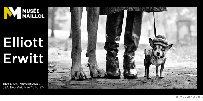 expo-photo-elliott-erwitt-dans-l-objectif-musee-maillol expo-photo-elliott-erwitt-dans-l-objectif-musee-maillol