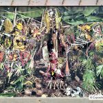 expo-photo-emmaus-70-ans