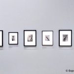 expo-photographies-Dora-Maar-Centre-Pompidou-paris